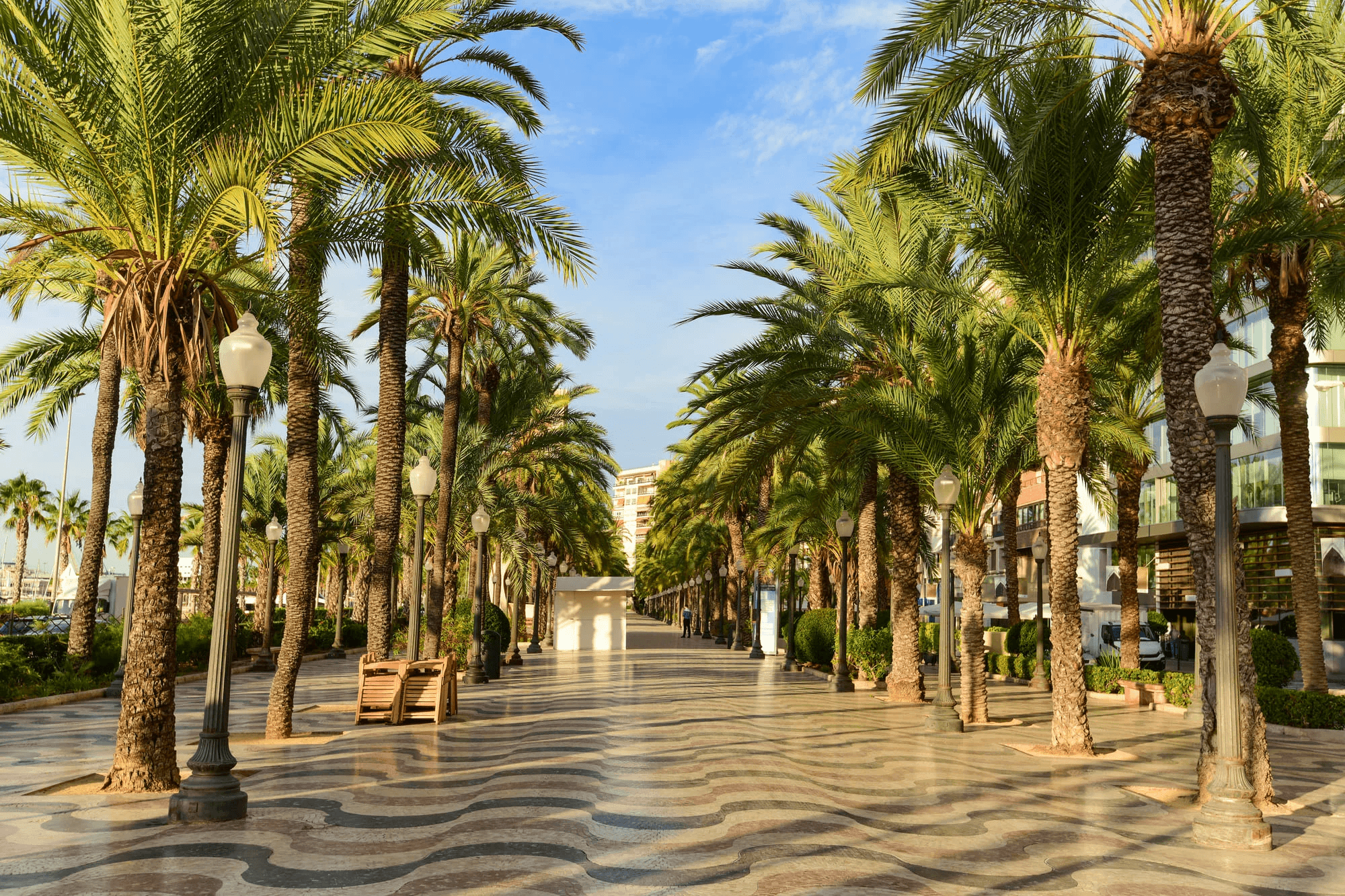 PLAZA DE LA REINA